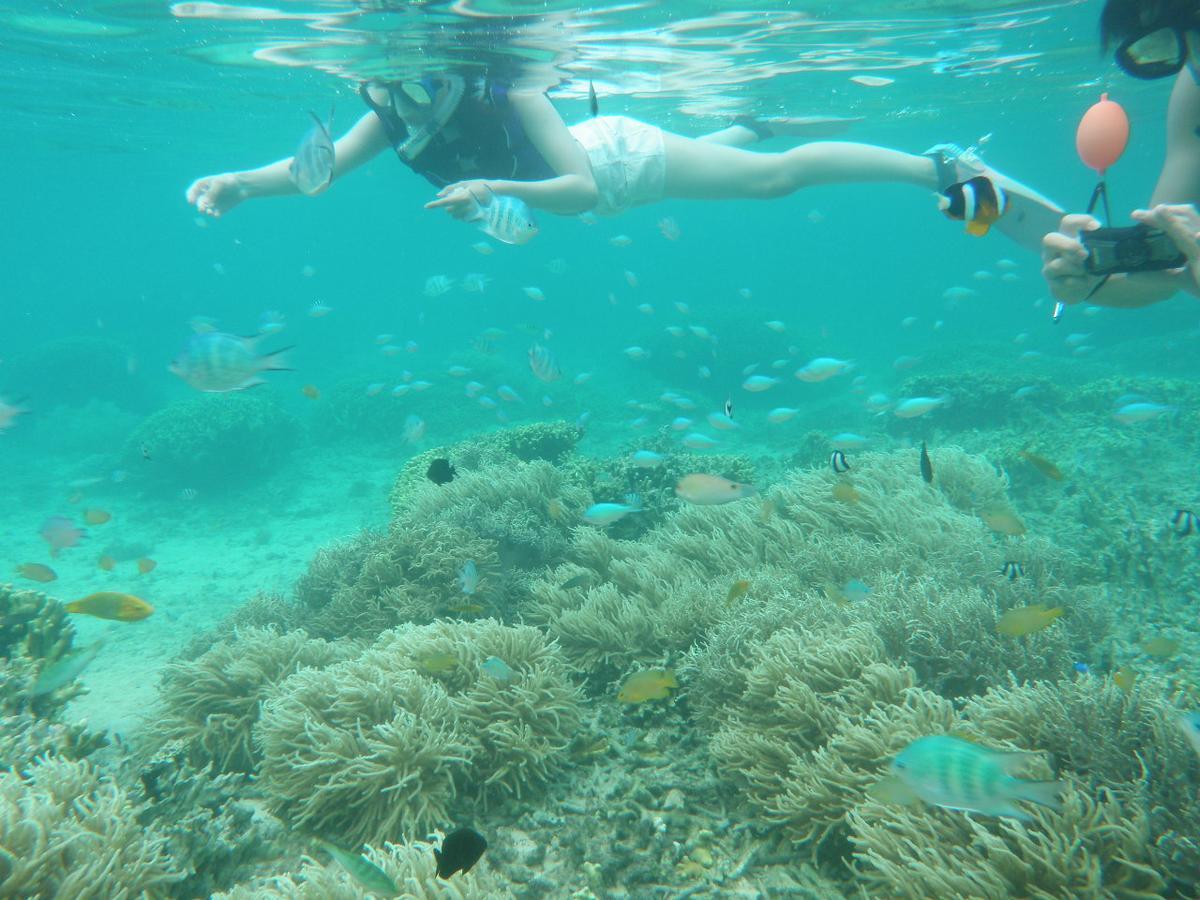 Okinawa Hostel Yanbaru Fukuro Наго Экстерьер фото